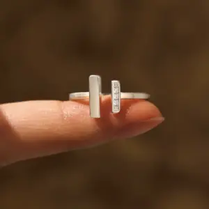 Thick & Thin Ring